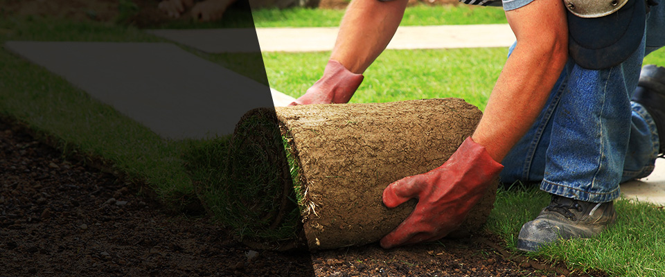 Desoto Landscapers